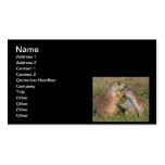 Please Stop Talking Business Card Templates