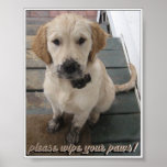 Please Wipe Your Paws! posters