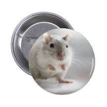 PLEASED TO MEET YOU PINBACK BUTTON