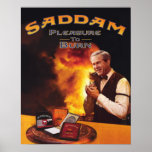 Pleasure to Burn. Posters