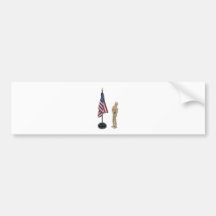 PledgeToAmericanFlag121211 Bumper Sticker
