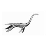 Plesiosaur Skeleton business cards