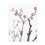 Plum Blossom Branches in Spring Postcard