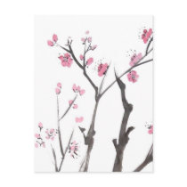 Plum Blossom Branches in Spring Postcard