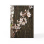 Plum Blossoms Cards