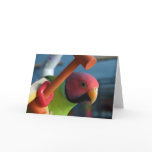 Plum Headed Parakeet Greeting Card