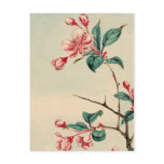 Plum tree blossoms 2012 Calendar Postcard