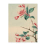 Plum tree blossoms 2012 Calendar Postcard