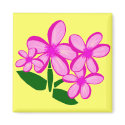Plumaris ohana magnet