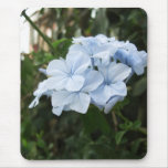 Plumbago 2 mouse pad