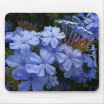 Plumbago Mouse Pad