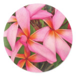 Plumeria - Ace Neon Pink Sticker