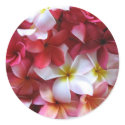 Plumeria Flower Cluster Bouquet stickers