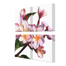 Plumeria Flowers Art Wrapped Canvas Gallery Wrap Canvas