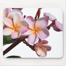Plumeria Flowers Mousepad