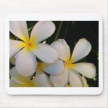 Plumeria Mouse Pad