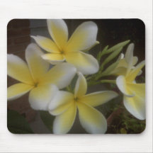 Plumeria Mouse Pads