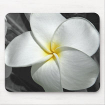 Plumeria Mousepad