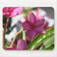 plumeria mousepad