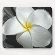Plumeria Mousepad