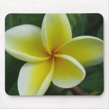 Plumeria Mousepad