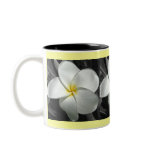 Plumeria Mug