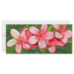 Plumeria rack cards