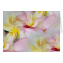 Plumeria Watercolor Card