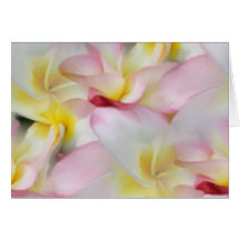 Plumeria Watercolor Card