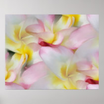 Plumeria Watercolor Print