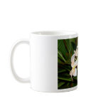 Plumerias in Maui mugs