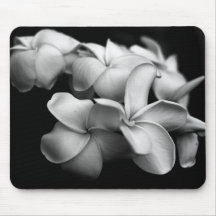 Plumerias Mouse Pads