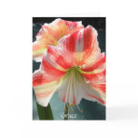 PMACarlson Grace Amararyllis Card