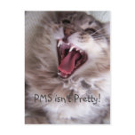 PMS isn't Pretty! postcards