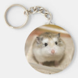 PMT stare (keychain)