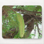 Pod Fruits On Tree mousepads