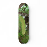 Pod Fruits On Tree skateboards