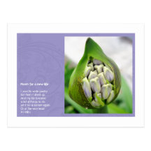 Poem for a new Life Post Card