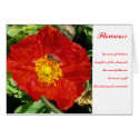 Poetry Inspiration from Nature Flowers cards