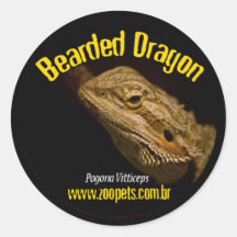 Pogona Dragao Barbado Adesivo
