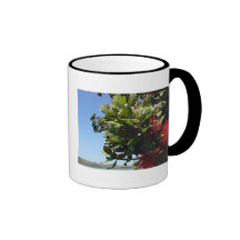 Pohutukawa Tree and Blossom Coffee Mugs
