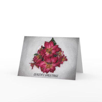 POINSETTIA CHRISTMAS CARD
