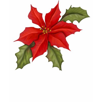 Poinsettia Christmas Shirt
