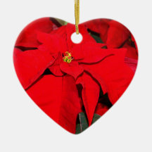 Poinsettia, Merry Christmas2010 Christmas Tree Ornaments