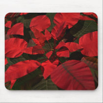 Poinsettia Mousepad