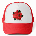 Poinsettia rouge, cap hats