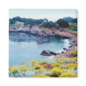 Point Lobos magnets