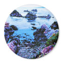 Point Lobos rocky beach magnets