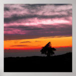 Point Loma Sunset posters