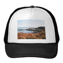 Point Piedras Blancas Mesh Hat